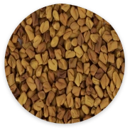 Fenugreek